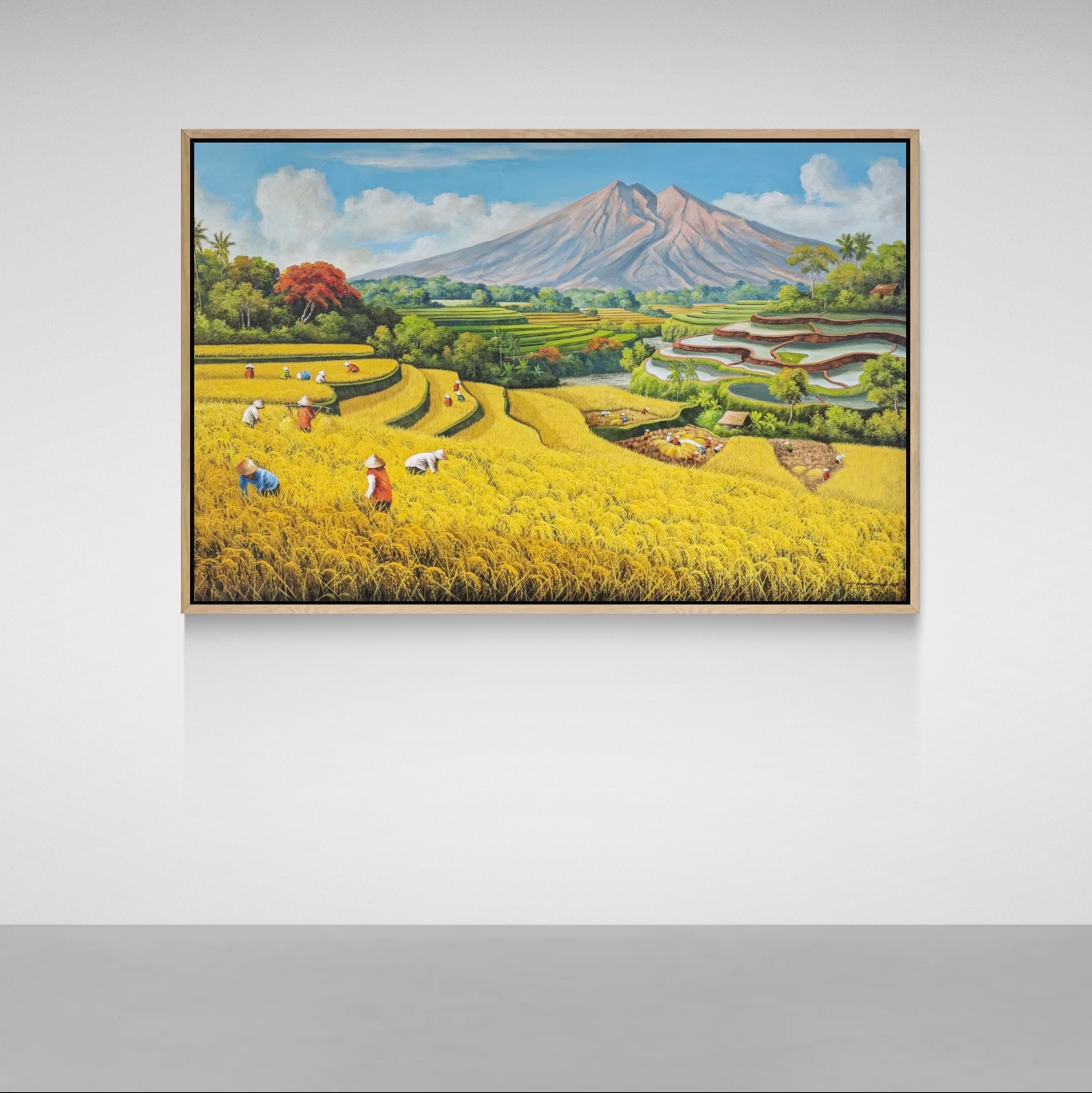 Rice Field Harvest Beneath the Sacred Mountain